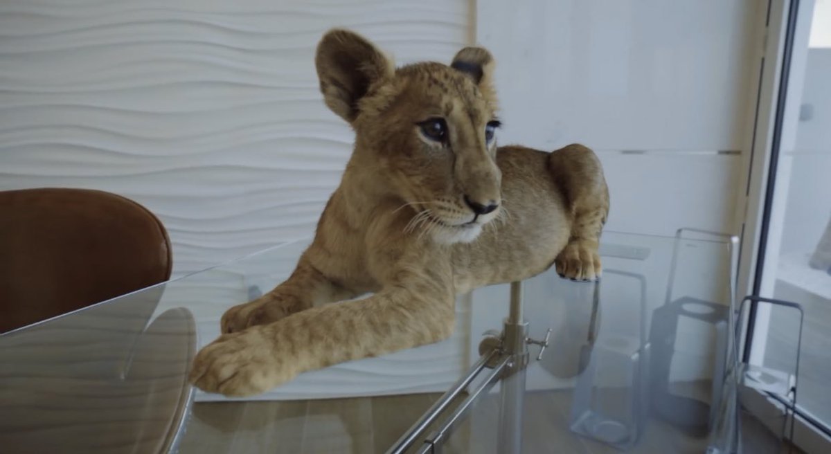 X -இல் 𝐀𝐅𝐂 𝐀𝐉𝐀𝐗 : " - Looks like Memphis didn't care much about  the criticism he received before. He has released a new video-clip where he  uses a Liger for some