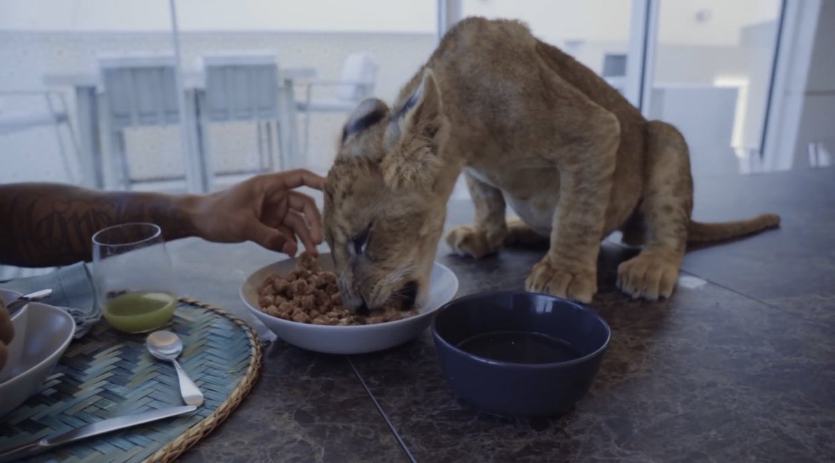 X -இல் 𝐀𝐅𝐂 𝐀𝐉𝐀𝐗 : " - Looks like Memphis didn't care much about  the criticism he received before. He has released a new video-clip where he  uses a Liger for some