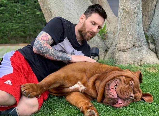 Even Lionel Messi's Dog Isn't Safe From His Dribbling Oh My, 60% OFF